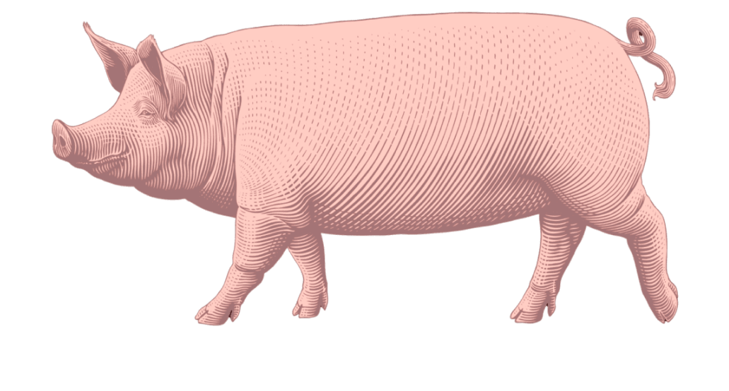 фон конференции