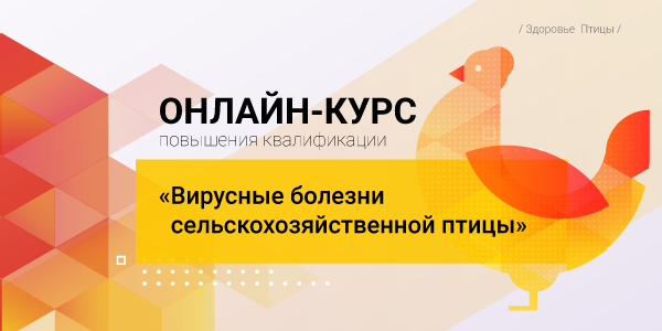 баннер-600_300