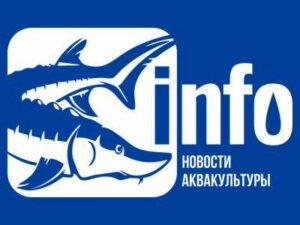 fish-info