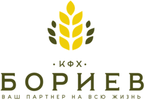 КФХ Бориев